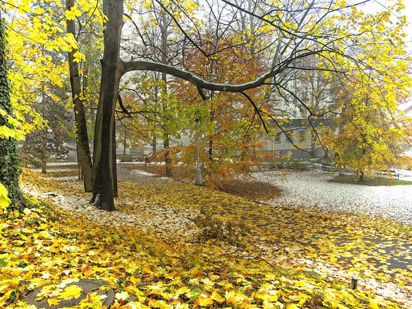 Which Sustainable Practices Can UK Manufacturing SMEs Adopt to Reduce Carbon Footprint?